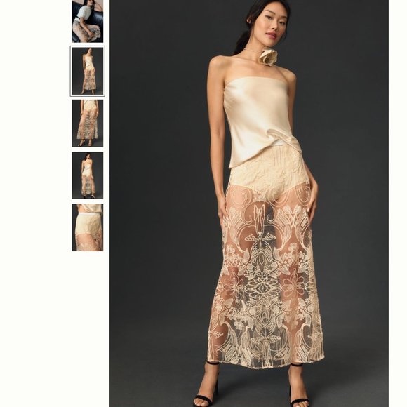 Anthropologie Dresses & Skirts - By Anthropologie Sheer Embroidered Skirt